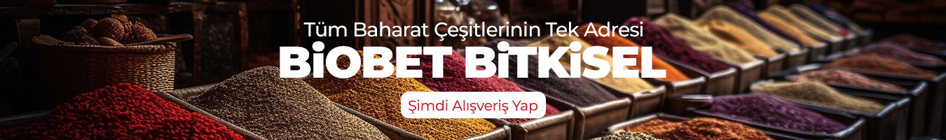 mopan tanıtım